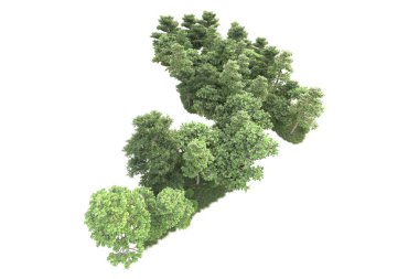 Beyaz arka planda ağaçların olduğu ormanın manzarası