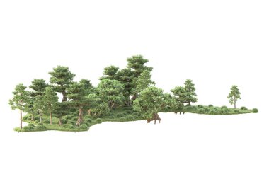 Beyaz arka planda ağaçların olduğu ormanın manzarası