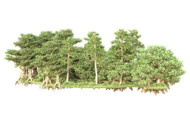 Beyaz arka planda ağaçların olduğu ormanın manzarası