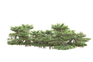 Beyaz arka planda ağaçların olduğu ormanın manzarası