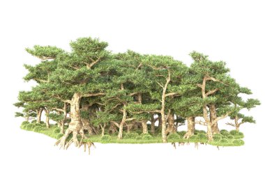 Beyaz arka planda ağaçların olduğu ormanın manzarası