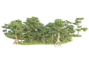 Beyaz arka planda ağaçların olduğu ormanın manzarası