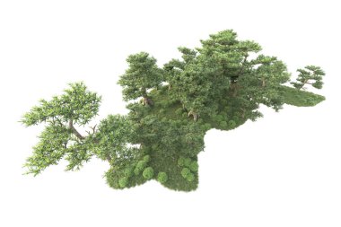 Beyaz arka planda ağaçların olduğu ormanın manzarası