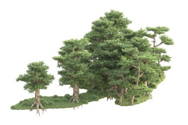 Beyaz arka planda ağaçların olduğu ormanın manzarası