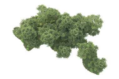 Beyaz arka planda ağaçların olduğu ormanın manzarası