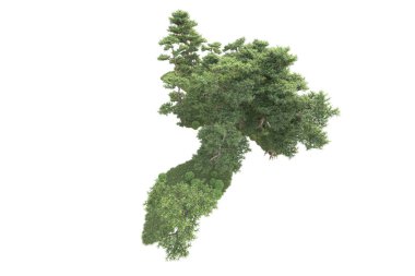 Beyaz arka planda ağaçların olduğu ormanın manzarası