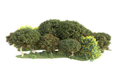 Beyaz arka planda ağaçların olduğu ormanın manzarası