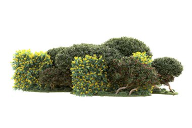 Beyaz arka planda ağaçların olduğu ormanın manzarası