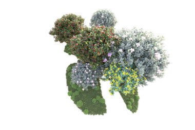 Beyaz arka planda ağaçların olduğu ormanın manzarası