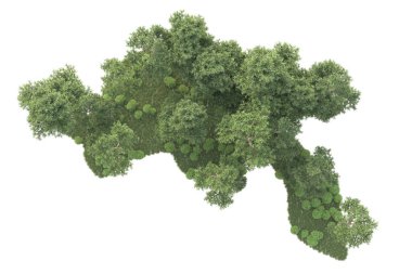 Beyaz arka planda ağaçların olduğu ormanın manzarası