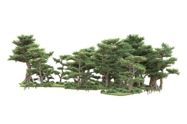 Beyaz arka planda ağaçların olduğu ormanın manzarası