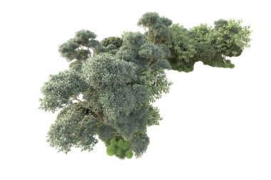 Beyaz arka planda ağaçların olduğu ormanın manzarası