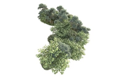 Beyaz arka planda ağaçların olduğu ormanın manzarası