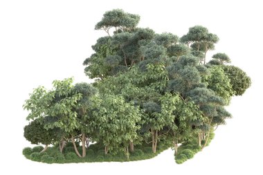 Beyaz arka planda ağaçların olduğu ormanın manzarası