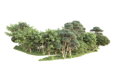 Beyaz arka planda ağaçların olduğu ormanın manzarası