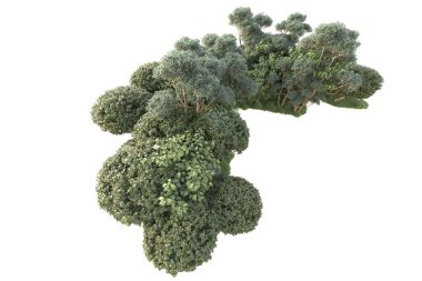 Beyaz arka planda ağaçların olduğu ormanın manzarası