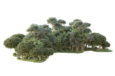 Beyaz arka planda ağaçların olduğu ormanın manzarası