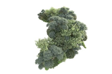 Beyaz arka planda ağaçların olduğu ormanın manzarası