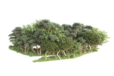 Beyaz arka planda ağaçların olduğu ormanın manzarası