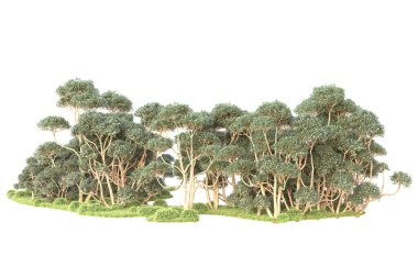 Beyaz arka planda ağaçların olduğu ormanın manzarası