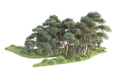 Beyaz arka planda ağaçların olduğu ormanın manzarası