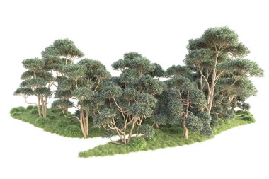 Beyaz arka planda ağaçların olduğu ormanın manzarası