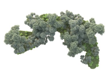 Beyaz arka planda ağaçların olduğu ormanın manzarası