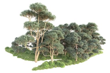 Beyaz arka planda ağaçların olduğu ormanın manzarası