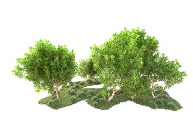 Beyaz arka planda ağaçların olduğu ormanın manzarası