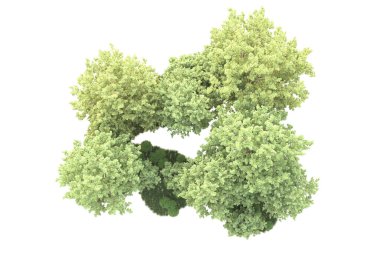 Beyaz arka planda ağaçların olduğu ormanın manzarası