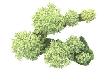 Beyaz arka planda ağaçların olduğu ormanın manzarası