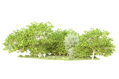 Beyaz arka planda ağaçların olduğu ormanın manzarası