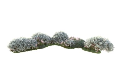 Beyaz arkaplandaki çalıların görünümü