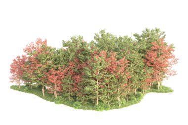 Beyaz arka planda ağaçların olduğu ormanın manzarası