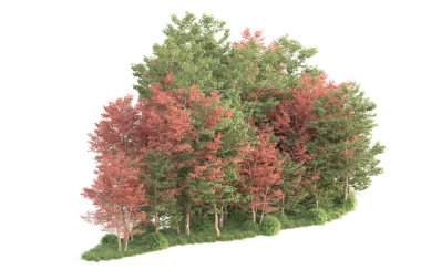 Beyaz arka planda ağaçların olduğu ormanın manzarası