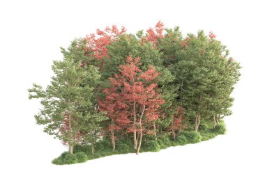 Beyaz arka planda ağaçların olduğu ormanın manzarası