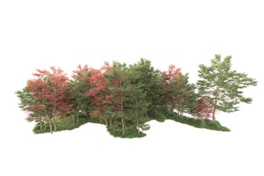 Beyaz arka planda ağaçların olduğu ormanın manzarası