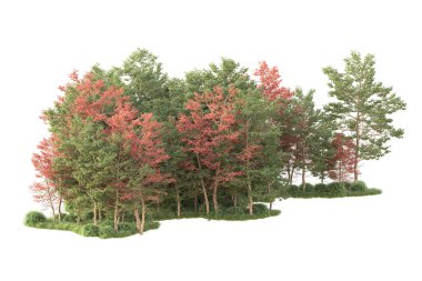 Beyaz arka planda ağaçların olduğu ormanın manzarası