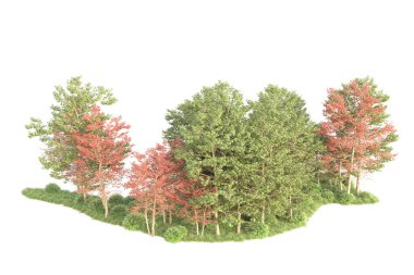 Beyaz arka planda ağaçların olduğu ormanın manzarası