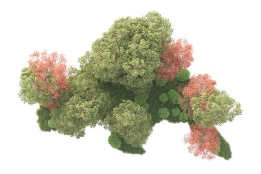 Beyaz arka planda ağaçların olduğu ormanın manzarası