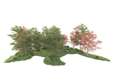 Beyaz arka planda ağaçların olduğu ormanın manzarası