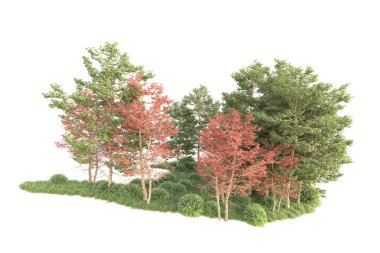 Beyaz arka planda ağaçların olduğu ormanın manzarası