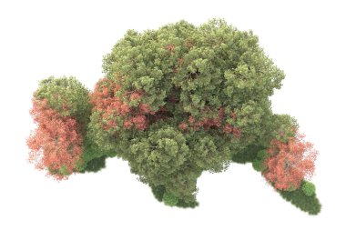 Beyaz arka planda ağaçların olduğu ormanın manzarası