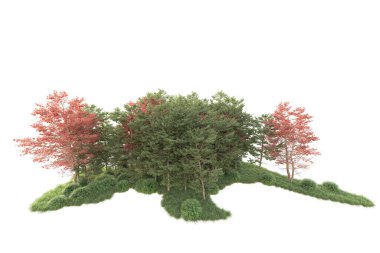 Beyaz arka planda ağaçların olduğu ormanın manzarası