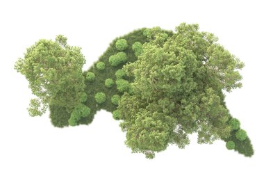 Beyaz arka planda ağaçların olduğu ormanın manzarası