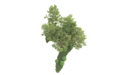 Beyaz arka planda ağaçların olduğu ormanın manzarası