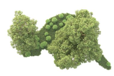 Beyaz arka planda ağaçların olduğu ormanın manzarası