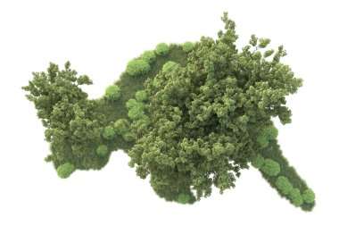 Beyaz arka planda ağaçların olduğu ormanın manzarası