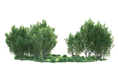 Beyaz arka planda ağaçların olduğu ormanın manzarası