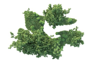 Beyaz arka planda ağaçların olduğu ormanın manzarası